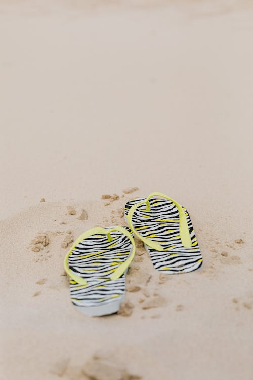 A Pair of Flip Flops on the Sand