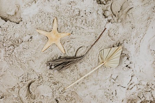 沙滩背景上，海星、干棕榈叶和细枝的特写被安排在一起