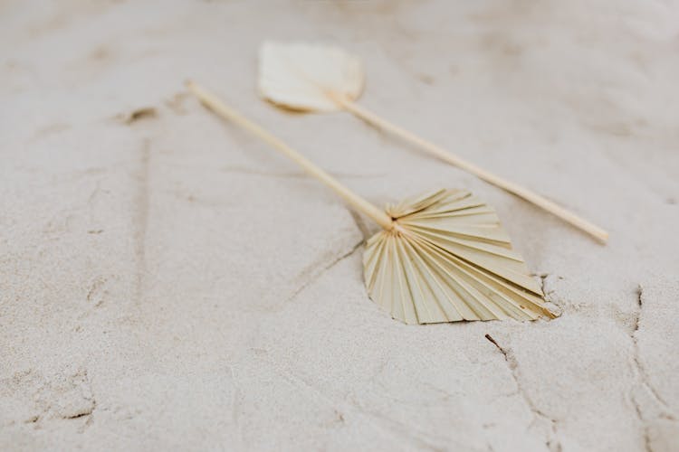 Stick Of Paper Leaves On A Sandy Shore