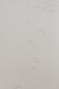 Subtle footprints on a serene, sandy beach, evoking tranquility and solitude.