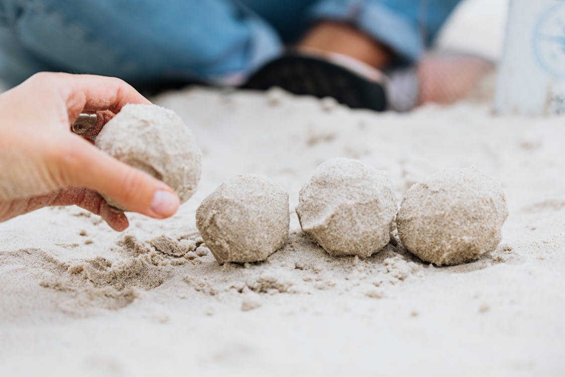 공, 둥근, 모래의 무료 스톡 사진