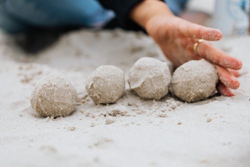 Close-Up Photo of Four Ball-Shaped Sand 