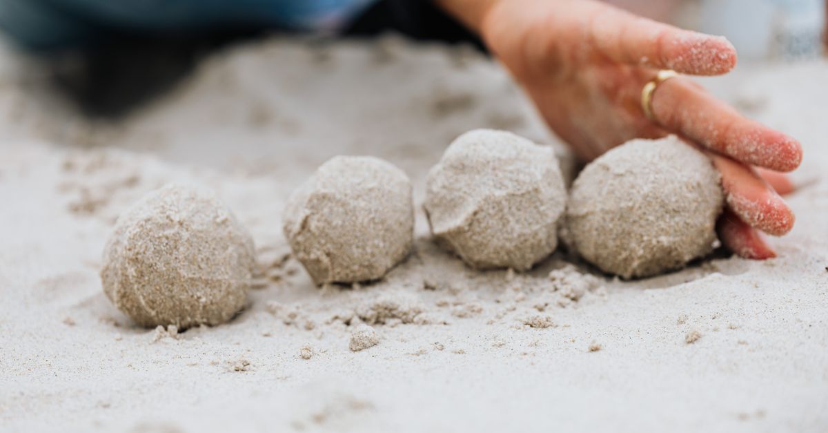 Pin Shape Sand Close-Up Photo of Four Ball-Shaped Sand · Free Stock Photo