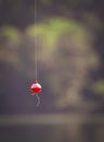 Small red bobber hanging on fishing line in soft focus on blurred background of nature
