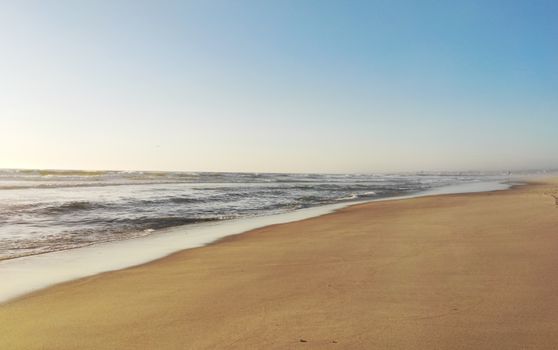 Peaceful coastal scene featuring a sandy beach meeting the endless ocean under a clear sky.