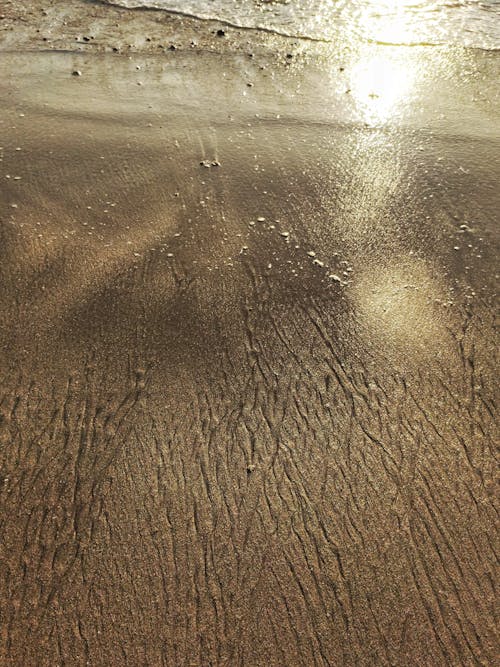 Wet Brown Sand of a Beach