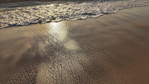 Waves Crashing on Beach Shore