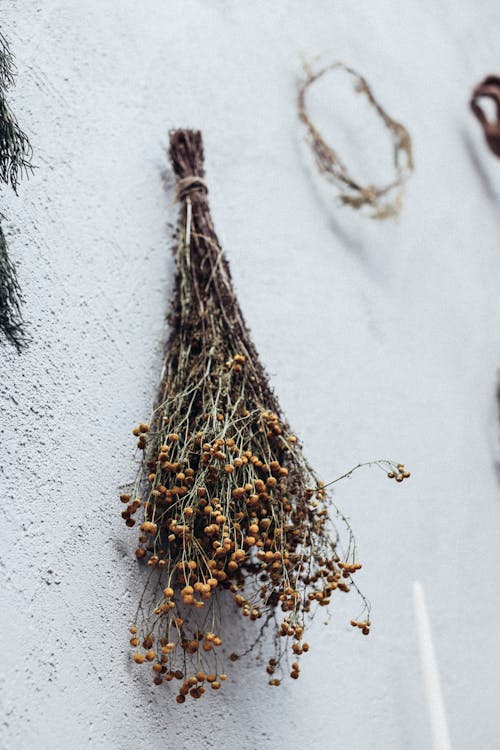 Free Bunch of dried linen hanging on wall Stock Photo