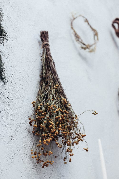 Bunch of dried linen hanging on wall