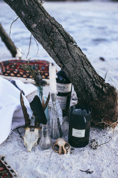 Mystic arrangement of candles animal skulls and black feathers in glass vase placed on sandy ground near dry tree trunk