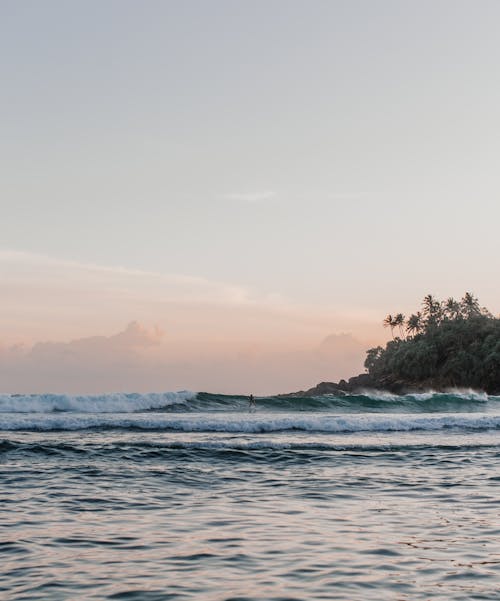 Picturesque scenery of rippling waving sea washing coast with palms under clear sky in early evening