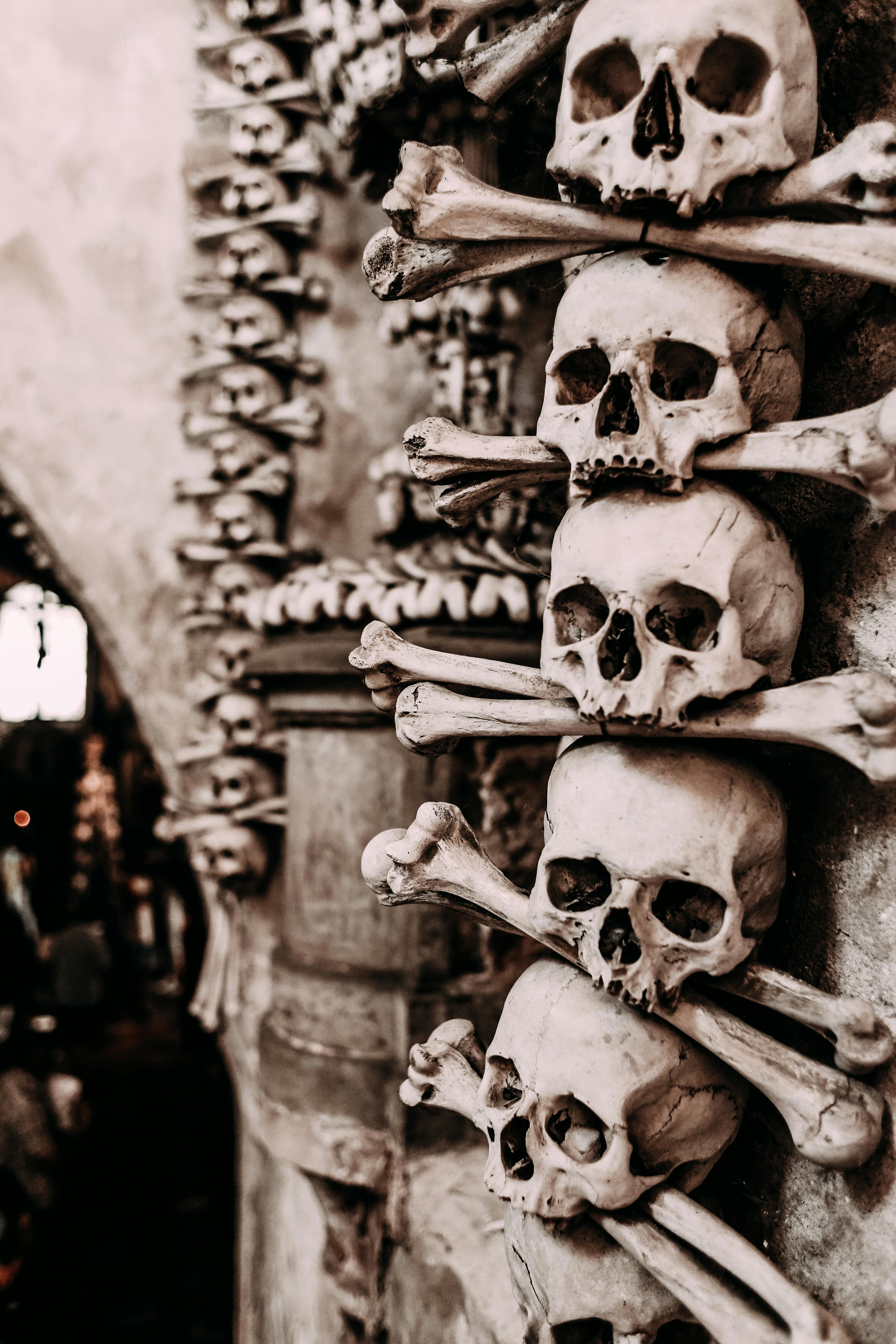 Skull Wallpapers  4K Backgrounds 2021 Download