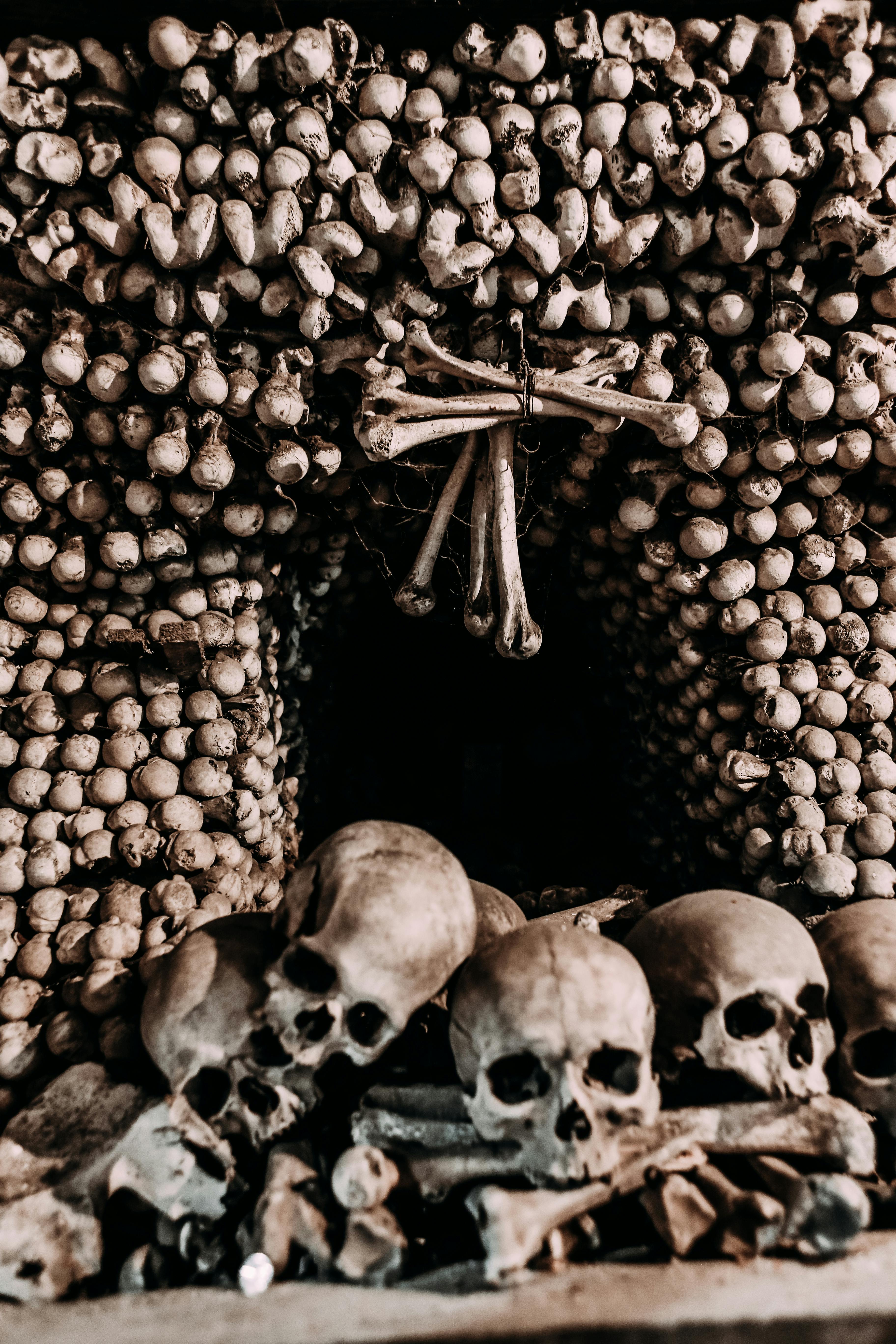 Skull & Bones Archives - Trim