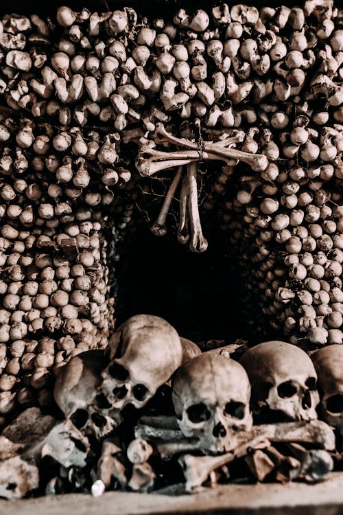 Grayscale Photo of Skulls