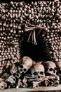 Grayscale Photo of Skulls