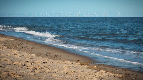 คลังภาพถ่ายฟรี ของ กระปะทะ, ชายทะเล, ชายหาด