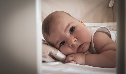 Foto stok gratis bayi, bayi kecil, bayi laki-laki