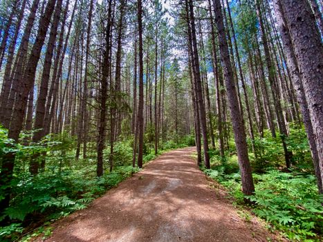 B.C. Couple Set to Finish 15,000-Km Trans Canada Trail Trek After 8 Years