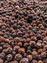 Brown Round Fruit on Brown Soil
