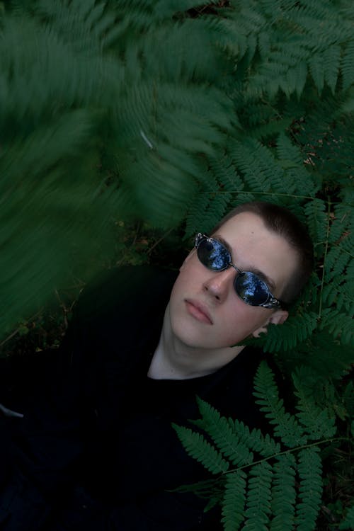 From above of confident man in stylish sunglasses standing between lush green leaves of plants