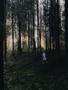 A lone person walks amidst tall trees in a tranquil forest during dusk.