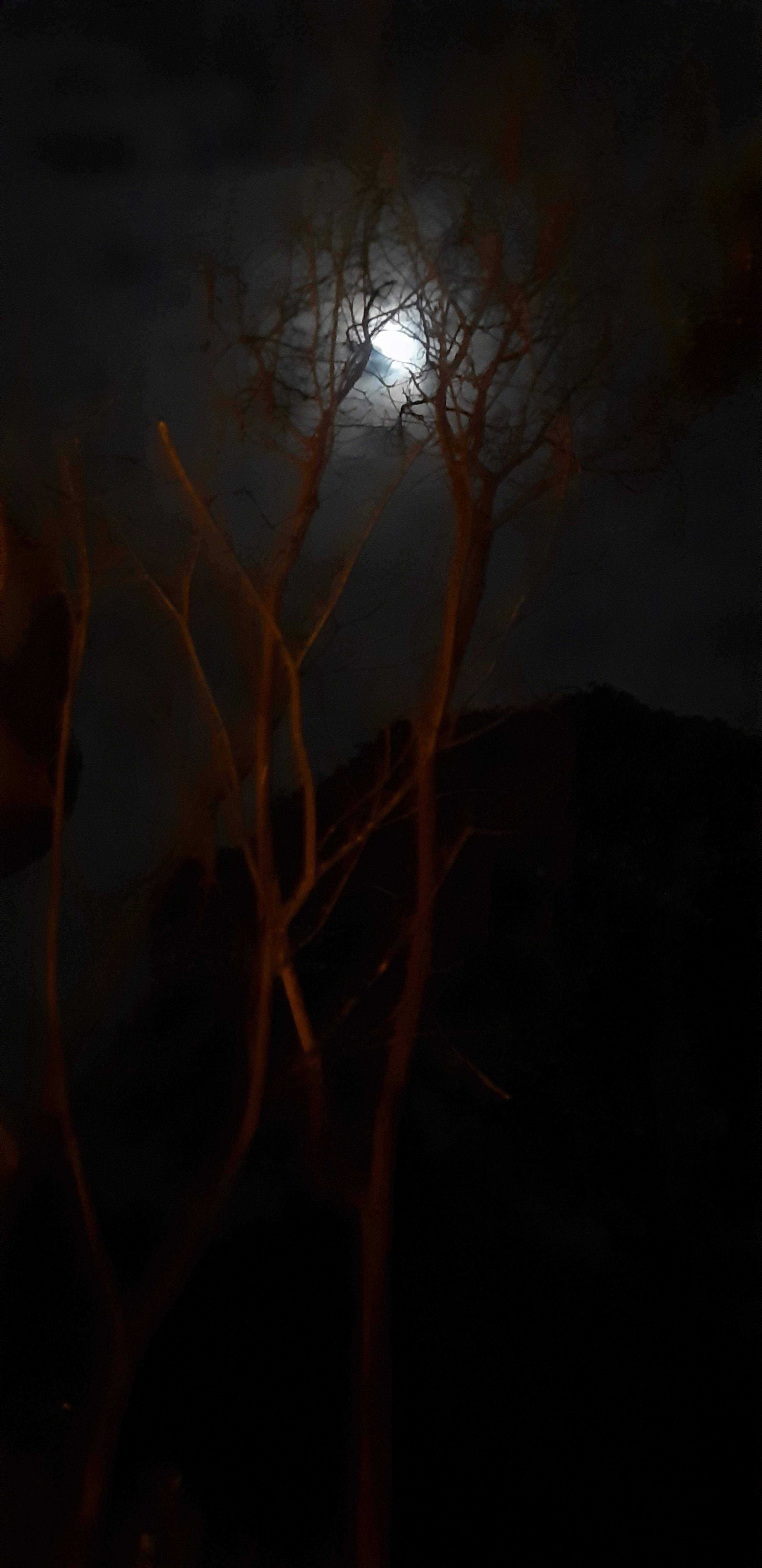 Unox Cup-a-Soup Chinese Tomaat