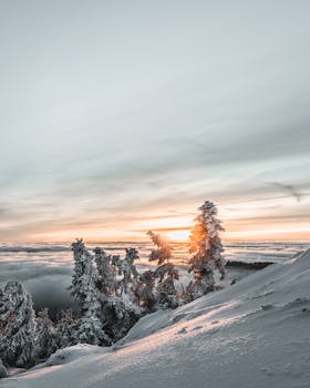 Captivating winter sunrise over snow-covered Harz Mountains with frosty trees and a serene sky.