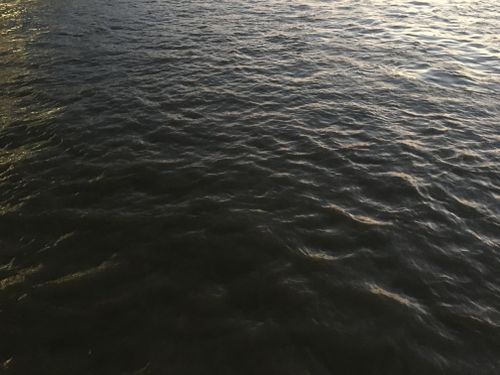Free stock photo of calm, full frame, peaceful Stock Photo