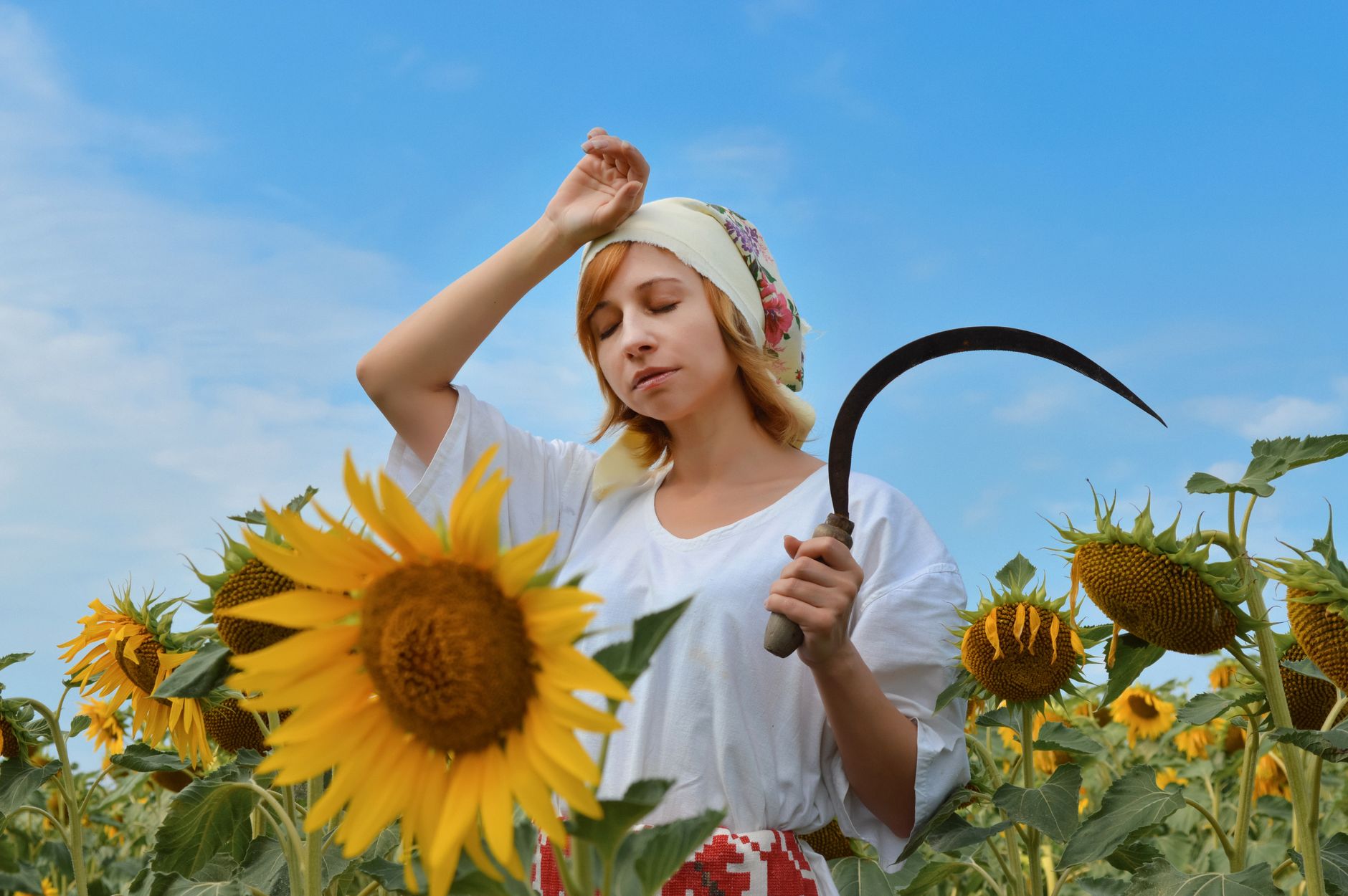 Contract Farming vs Traditional Selling: Which Pays More?