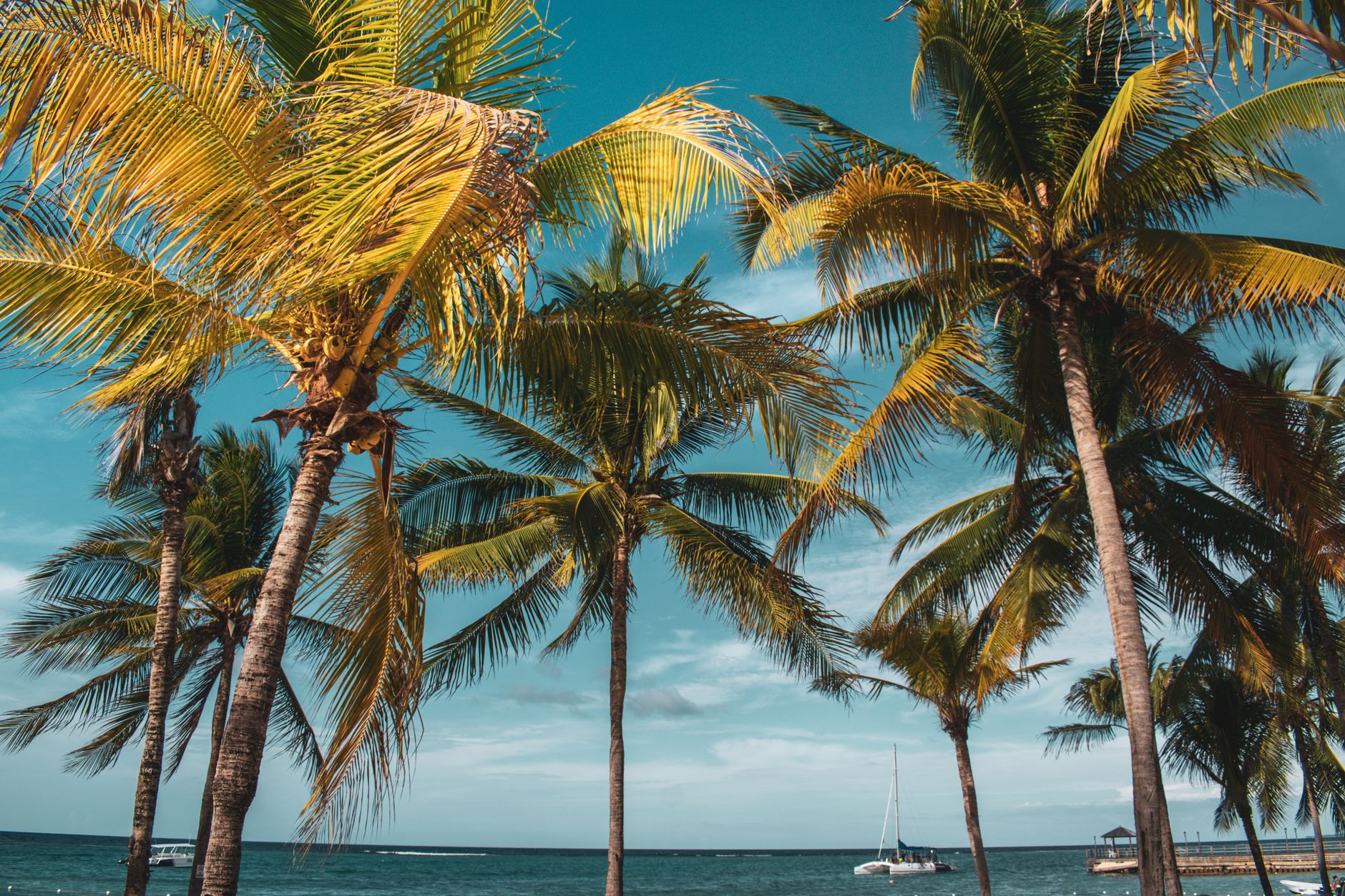Jamaica, Jamaica