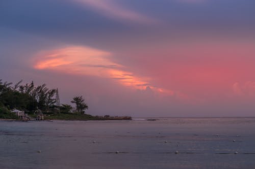 Free Photo of a Sea Under a Pink Sky Stock Photo