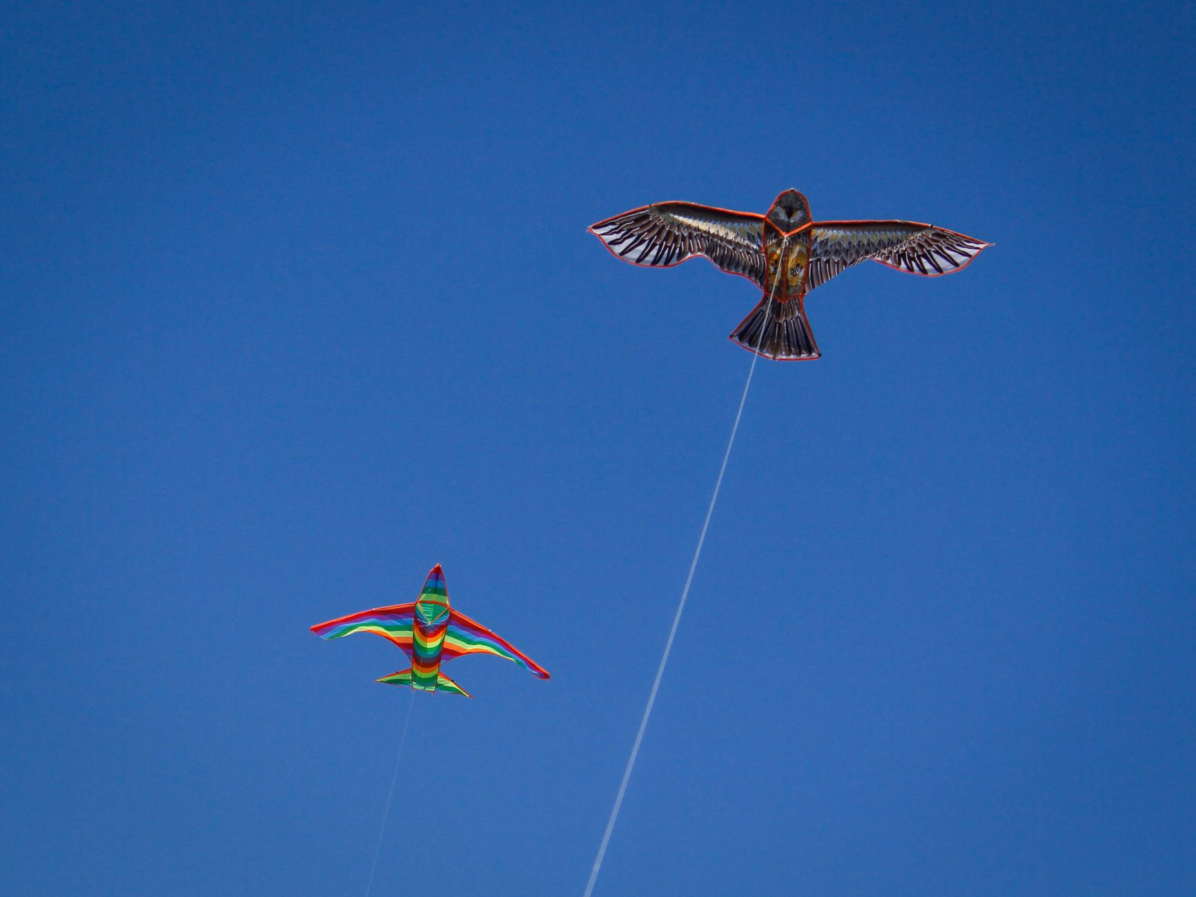 Two vibrant bird-shaped kites soaring high against a clear blue sky.