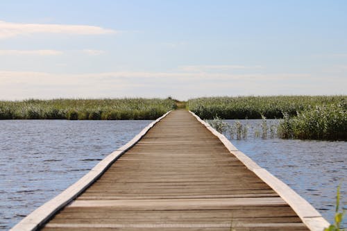 Безкоштовне стокове фото на тему «блакитне небо, вода, дерев’яна пішохідна доріжка»