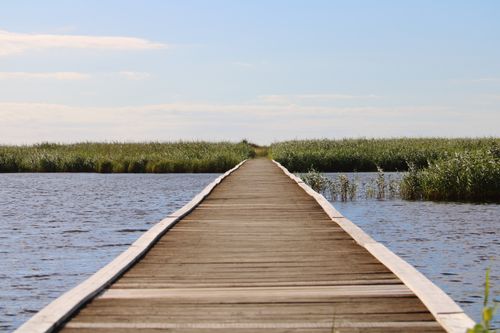 Free A serene wooden boardwalk stretches over a calm lake under a clear blue sky, surrounded by lush greenery. Stock Photo
