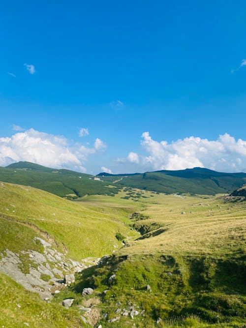 Foto profissional grátis de área, campina, cenário