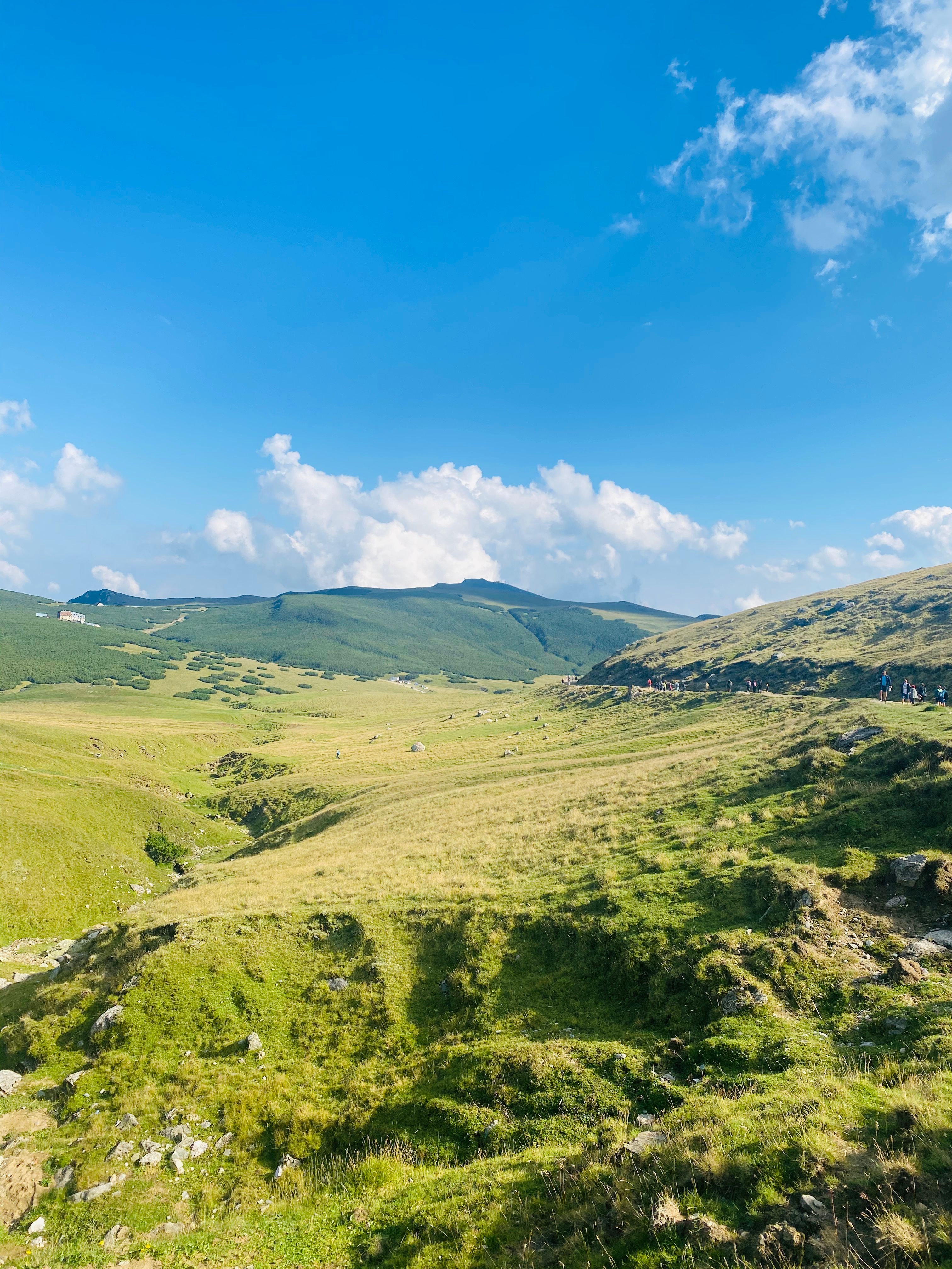 Green Grass Field Under Blue Sky · Free Stock Photo