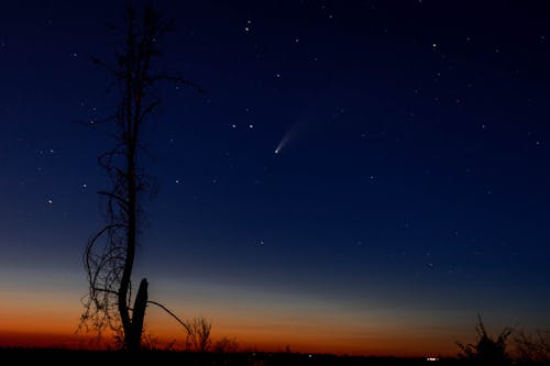 Free stock photo of metor, night sky, shooting stars