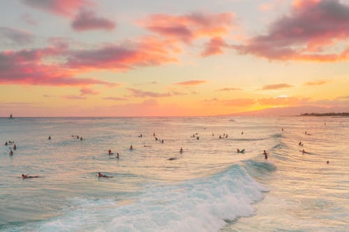 People Surfing on Sea Waves during Sunset