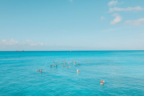 Free People Swimming on Sea Stock Photo