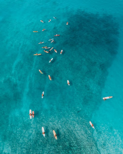 Aerial View of People Swimming on Sea