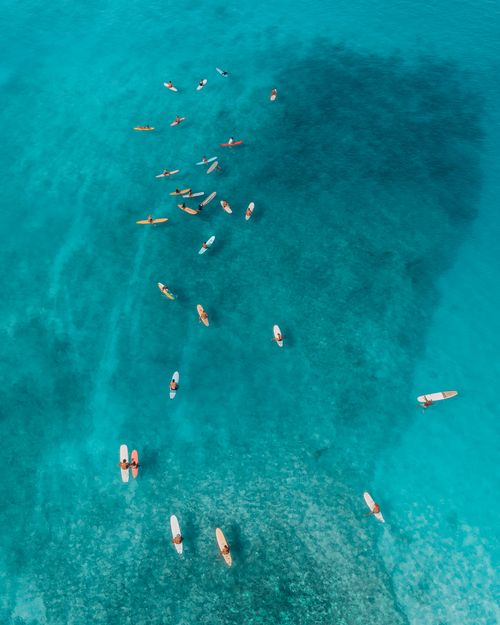 Free Aerial shot of surfers with colorful surfboards on clear turquoise water, capturing vibrant oceanic adventure. Stock Photo