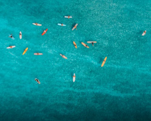 Aerial View of People Swimming on Sea
