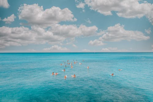 People Swimming on Sea