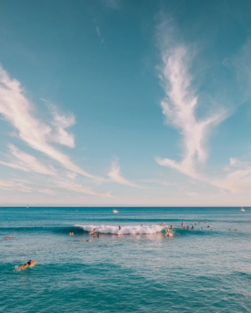 People Swimming on Sea Under Blue Sky