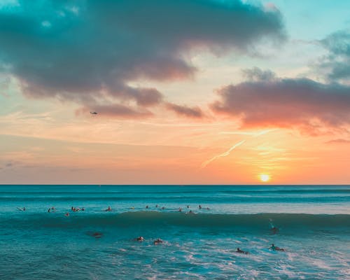 People on Beach during Sunset