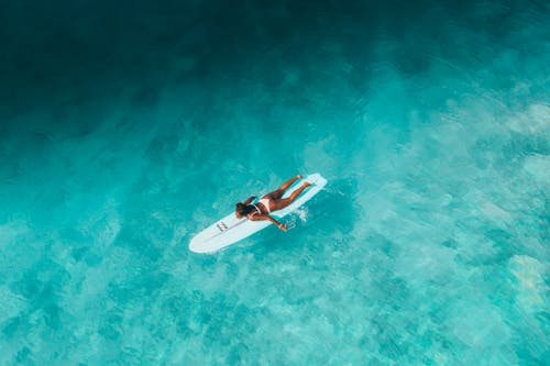 免费 冲浪女孩, 夏威夷, 天堂 的 免费素材图片 素材图片