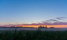 Green Grass Field during Sunset