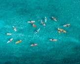 夏威夷蓝色海洋中冲浪者在彩色冲浪板上的生动鸟瞰图