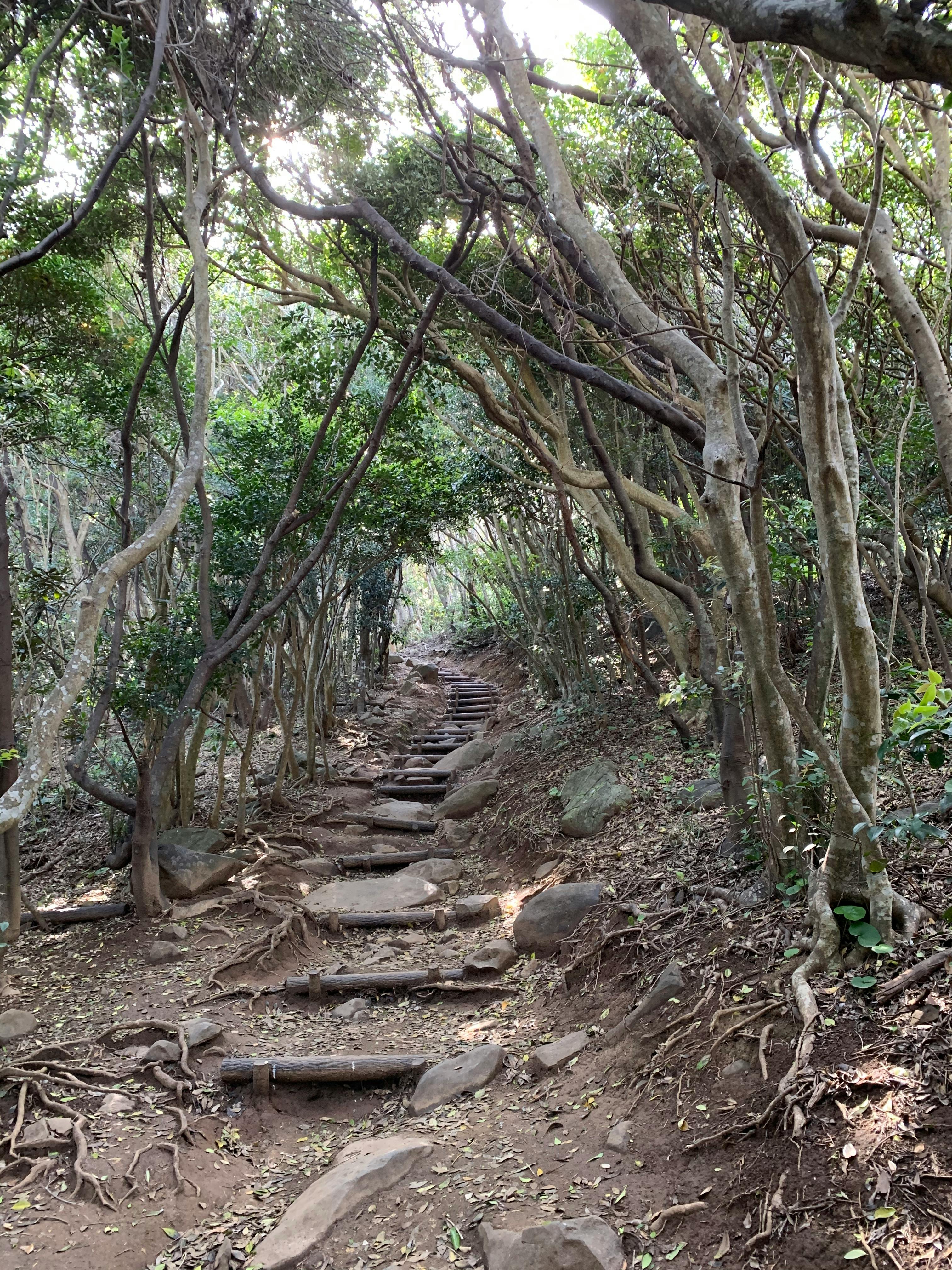 マリノス ユニフォーム 販売 店