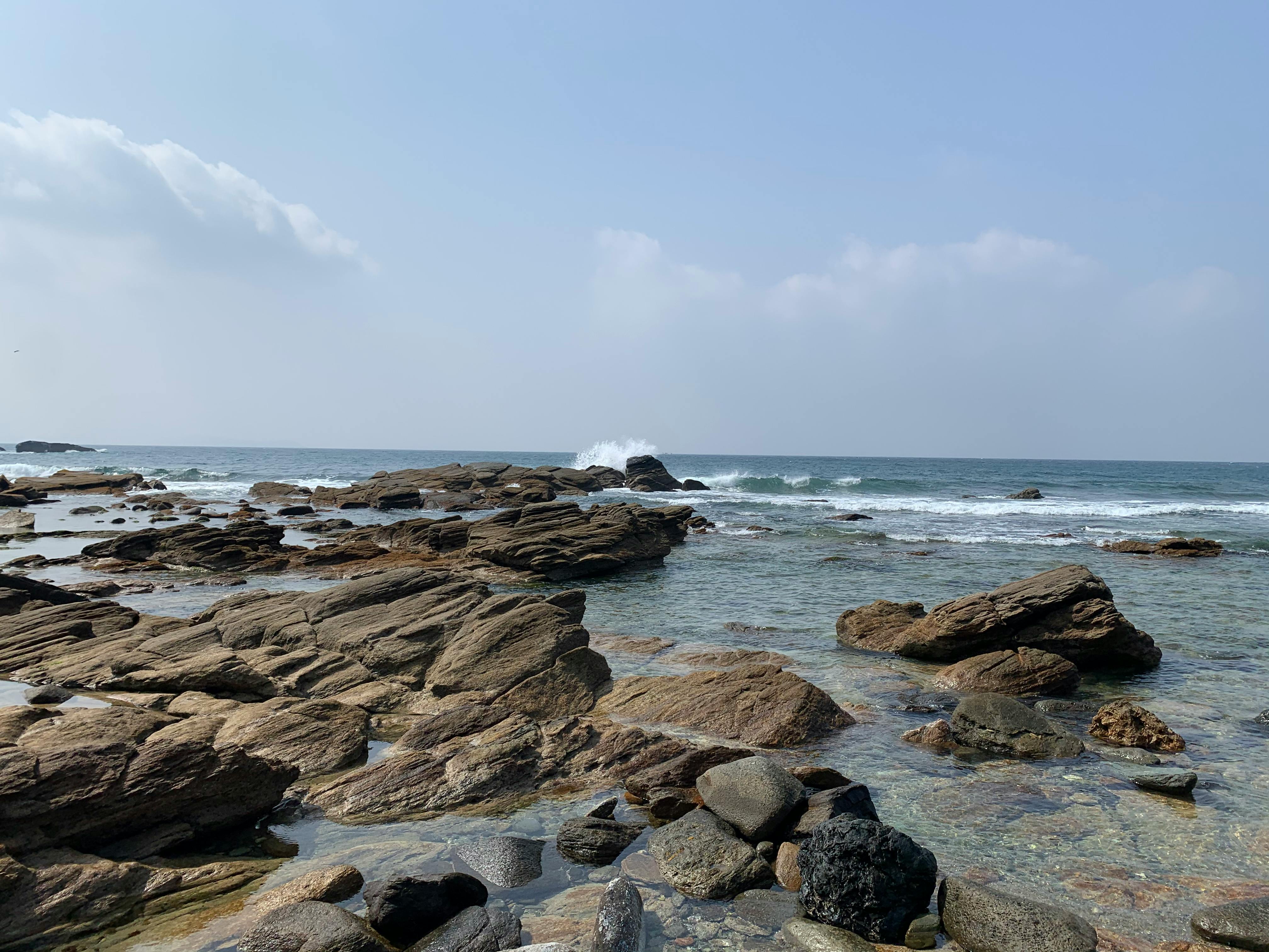 セレッソ 大阪 サマー ユニフォーム 